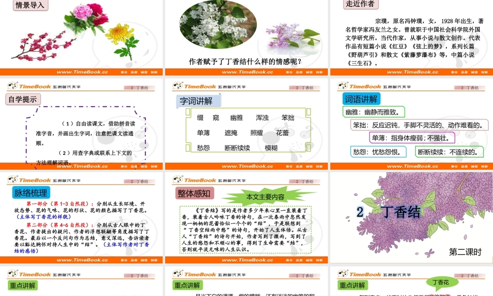 2 丁香结【标准版】.pptx