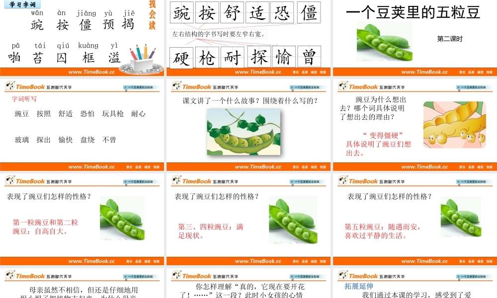 5 一个豆荚里的五粒豆.pptx