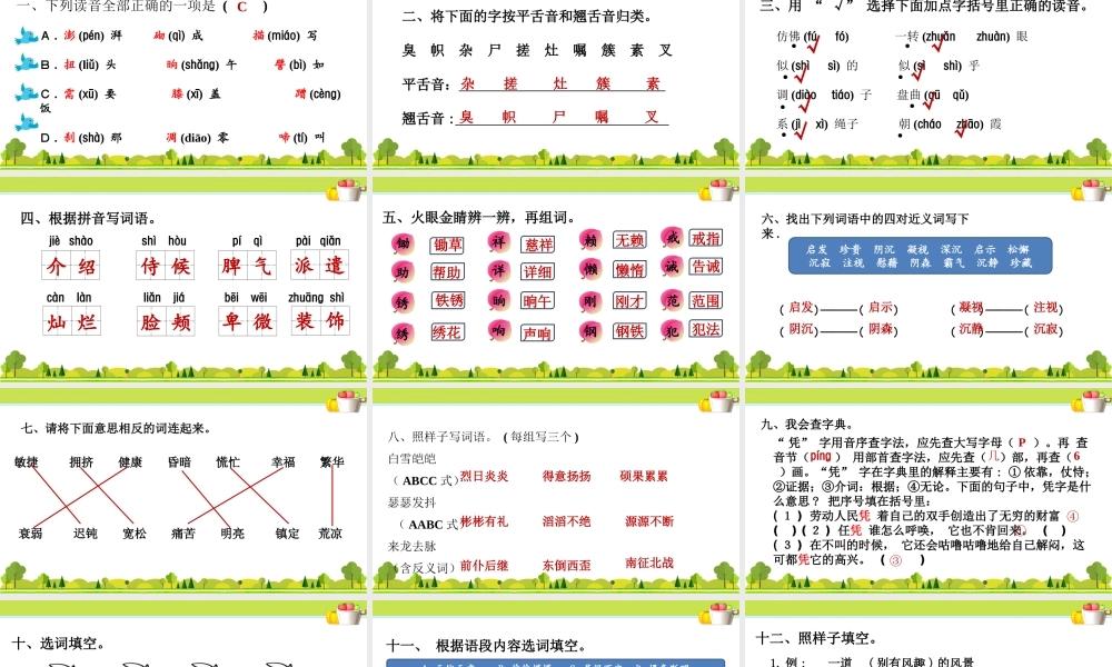 1.专项复习之一 字词专项.ppt
