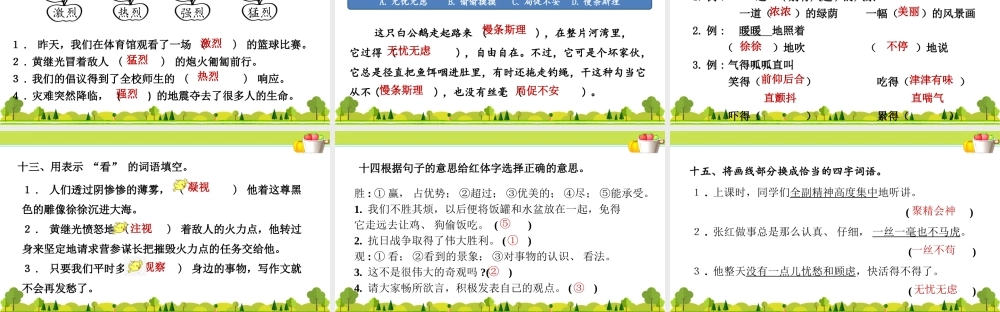 1.专项复习之一 字词专项.ppt