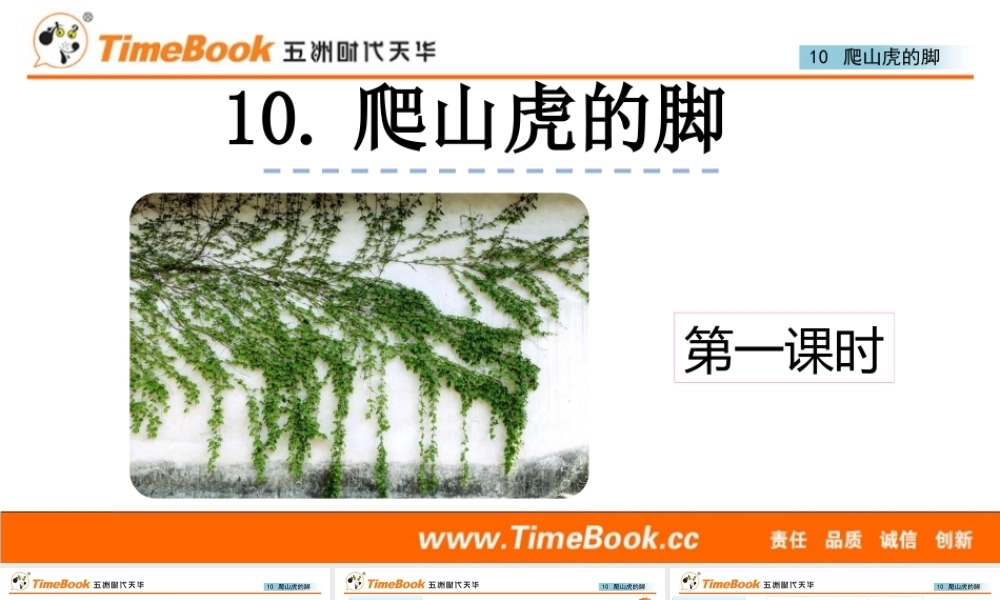 10 爬山虎的脚(2).pptx