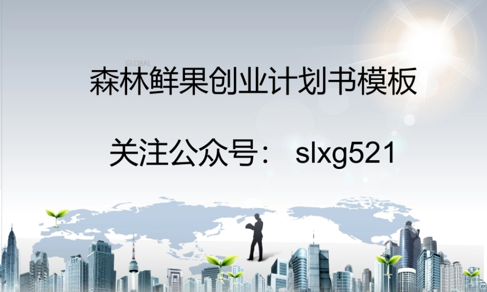 网吧创业计划书 (1).ppt