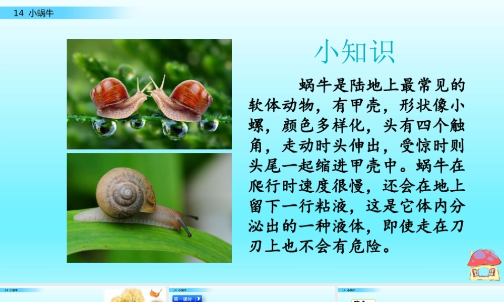14 小蜗牛（名师PPT课件）.pptx