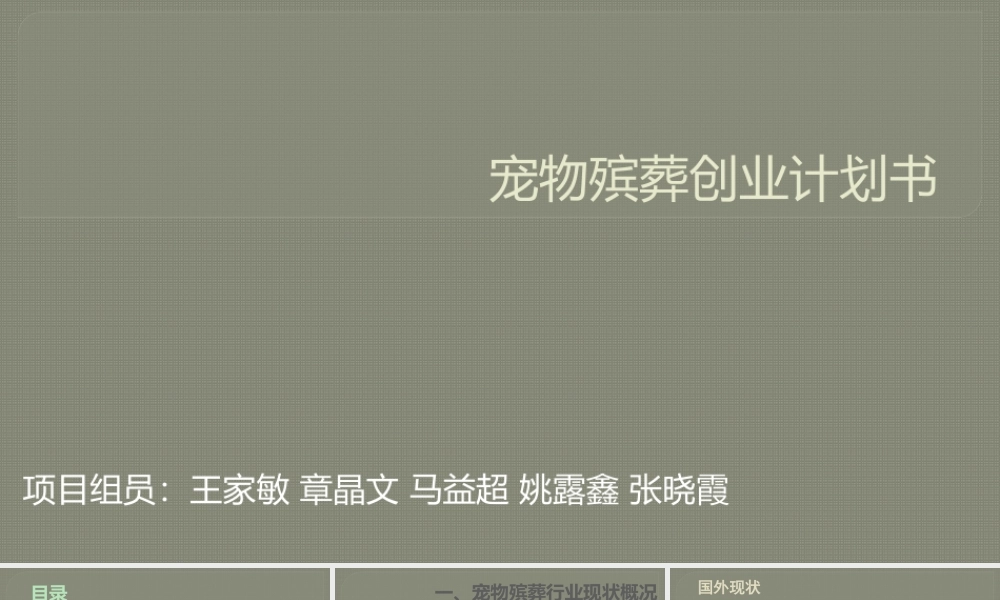 宠物殡葬创业计划书-(1).pptx