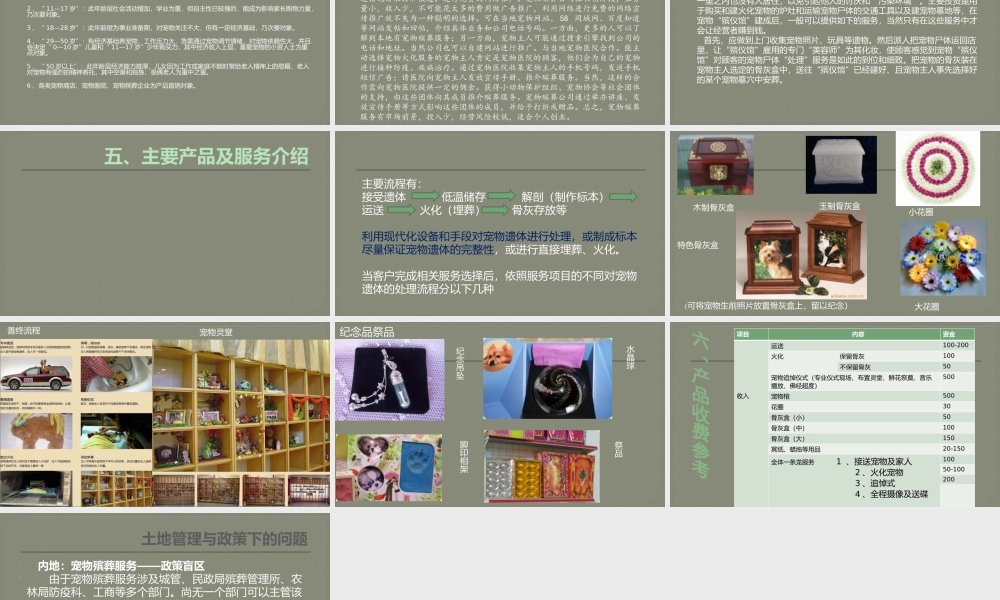 宠物殡葬创业计划书-(1).pptx