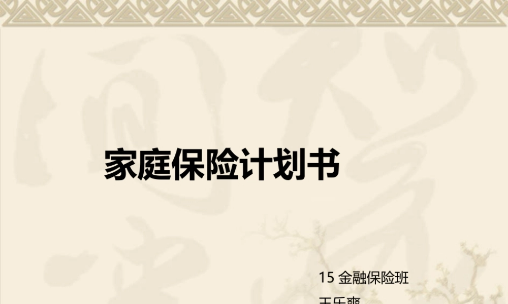 家庭财产保险计划书.ppt