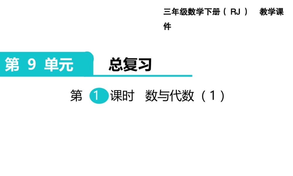第1课时 数与代数（1）.ppt