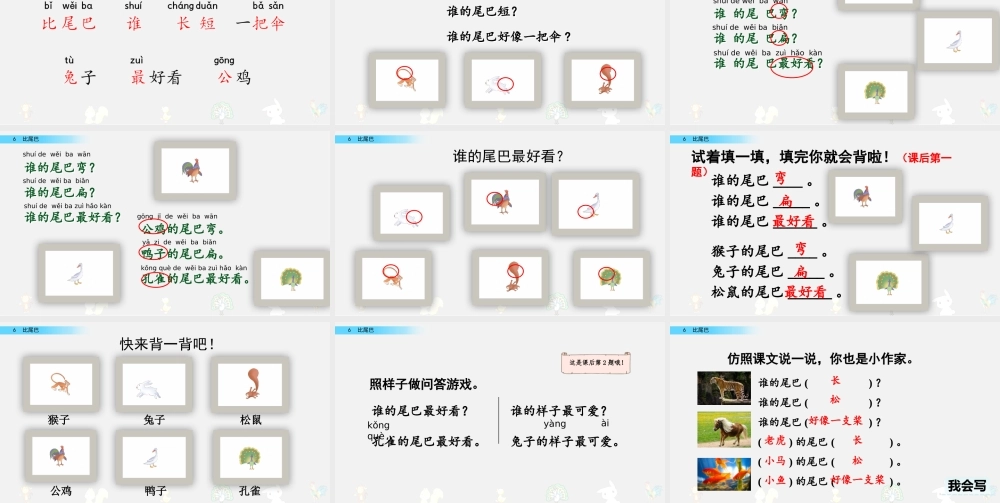 6 比尾巴（名师PPT课件）.pptx