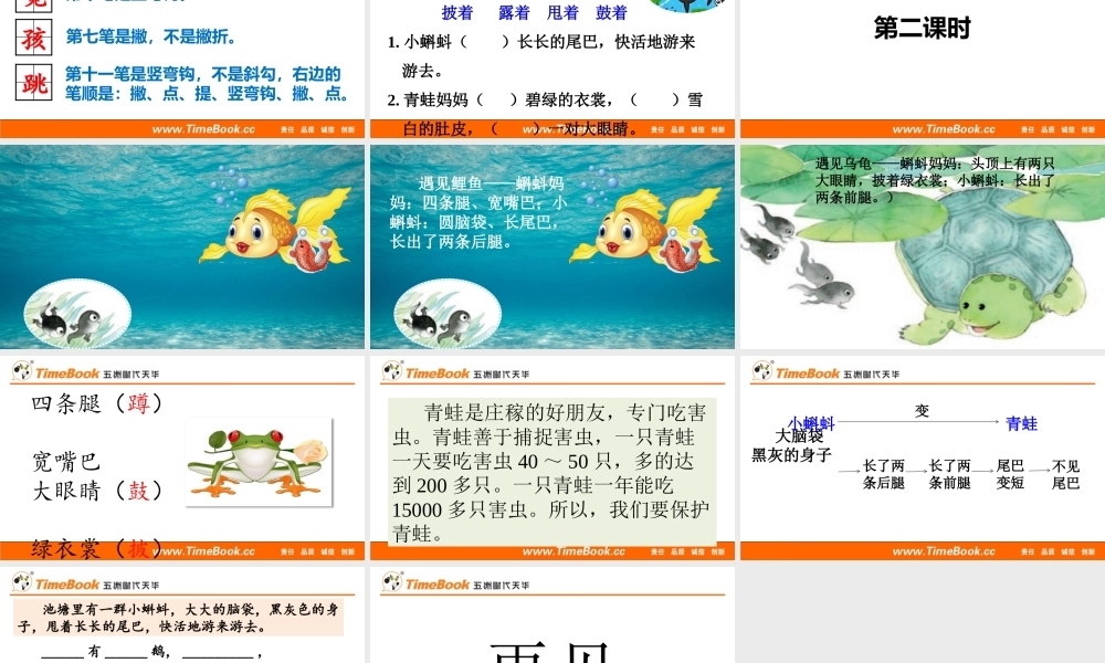 1 小蝌蚪找妈妈(1).pptx