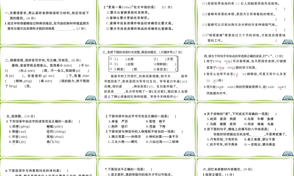 期末测试卷（一）(1).ppt