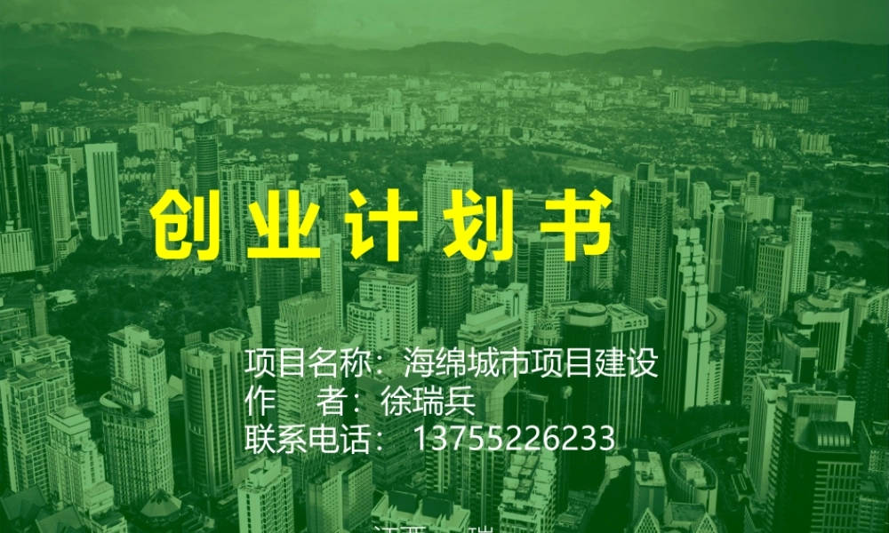 海绵城市项目创业计划书.ppt