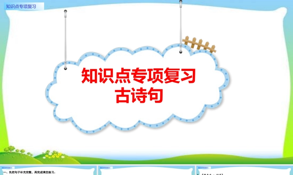 知识点专项复习.pptx