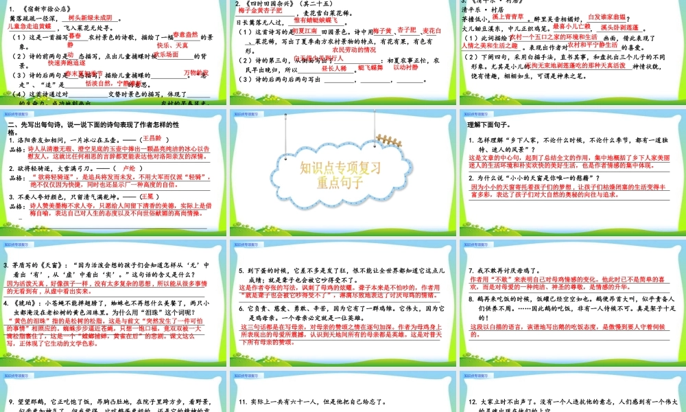 知识点专项复习.pptx