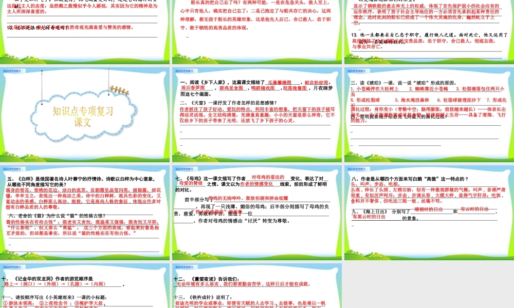 知识点专项复习.pptx