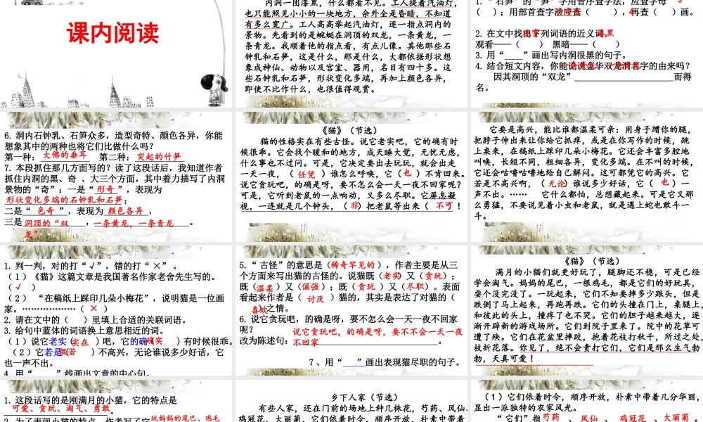 阅读指导专项复习.pptx