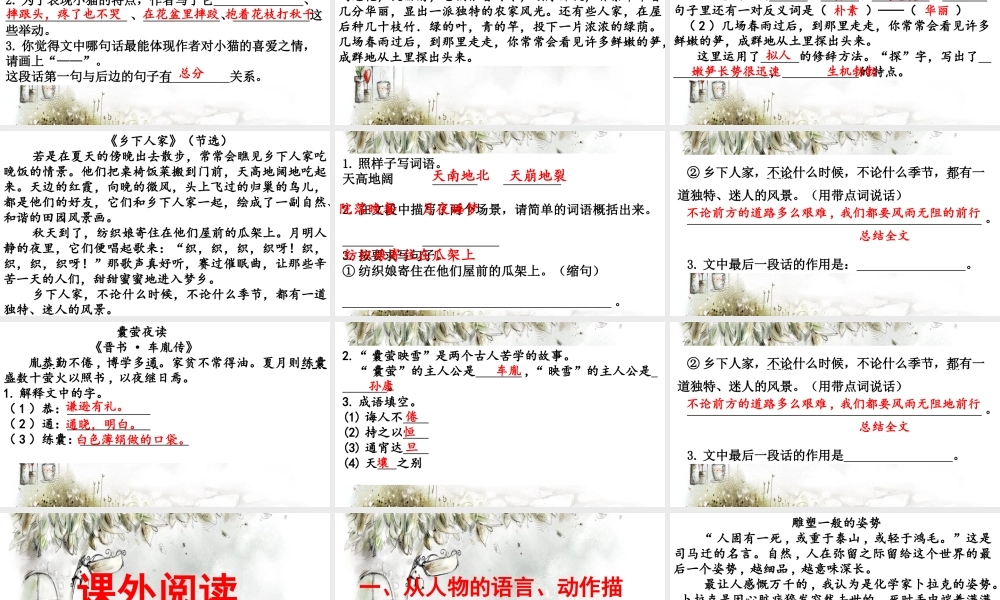 阅读指导专项复习.pptx