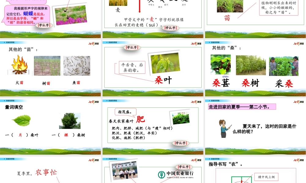 识字4 田家四季歌(1).pptx