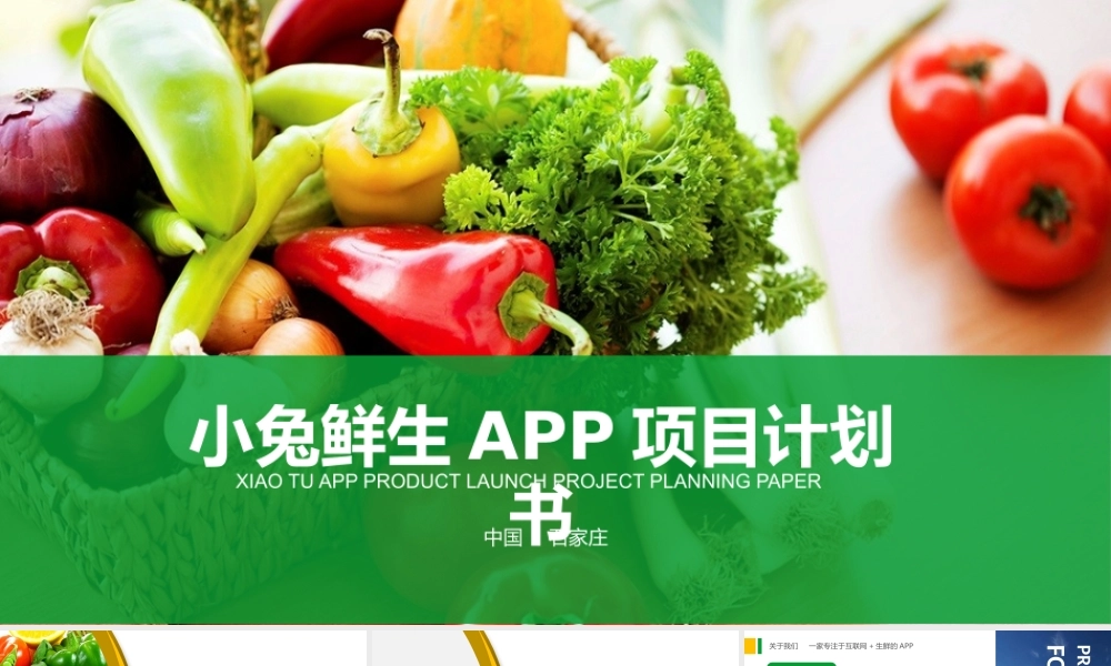 小兔鲜生.pptx