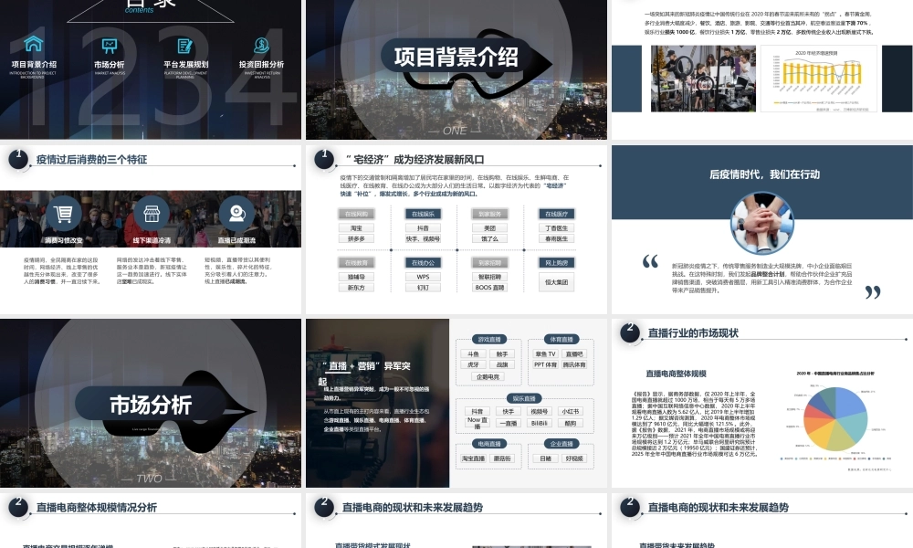 直播带货商业融资计划书.pptx