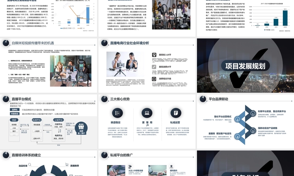直播带货商业融资计划书.pptx