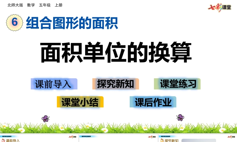 6.3 面积单位的换算.pptx