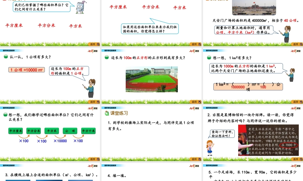 6.3 面积单位的换算.pptx