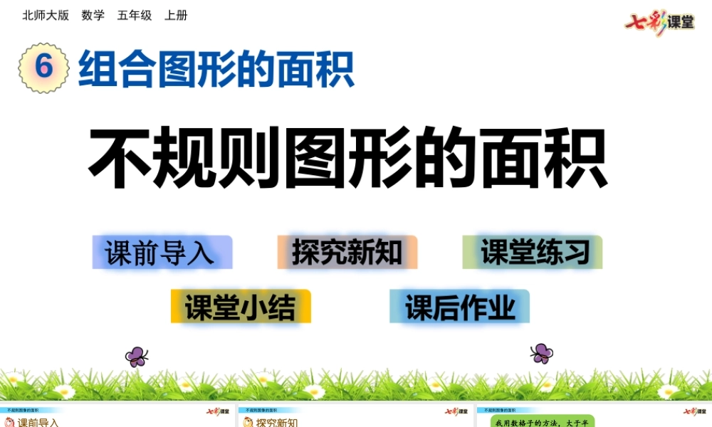 6.2 不规则图形的面积.pptx