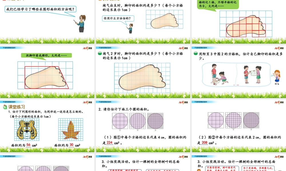 6.2 不规则图形的面积.pptx