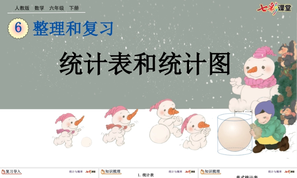 6.3.1 统计表和统计图.pptx