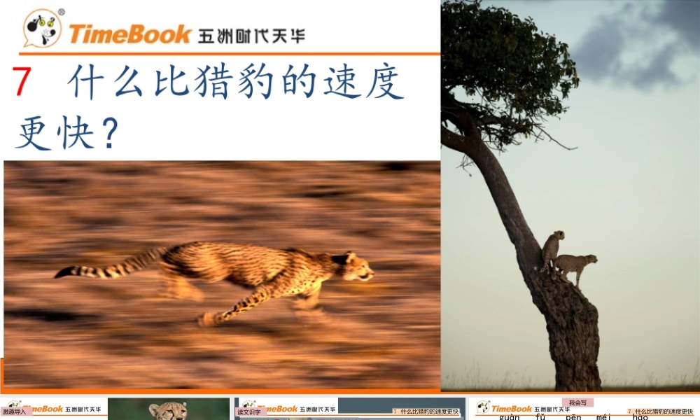 7 什么比猎豹的速度更快.pptx
