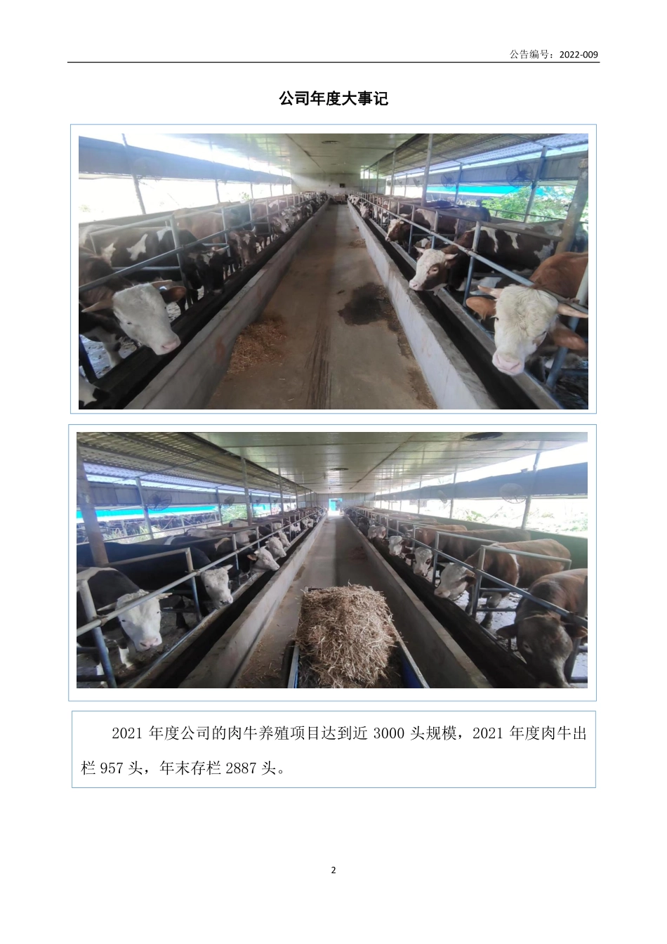 835087_2021_桂林恒瑞_2021年年度报告_2022-04-25.pdf_第2页