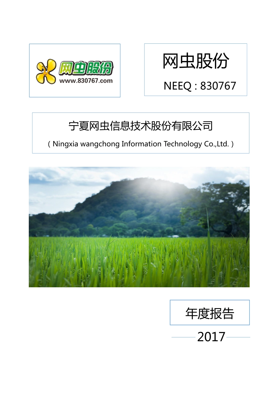 830767_2017_网虫股份_2017年年度报告_2018-05-10.pdf_第1页