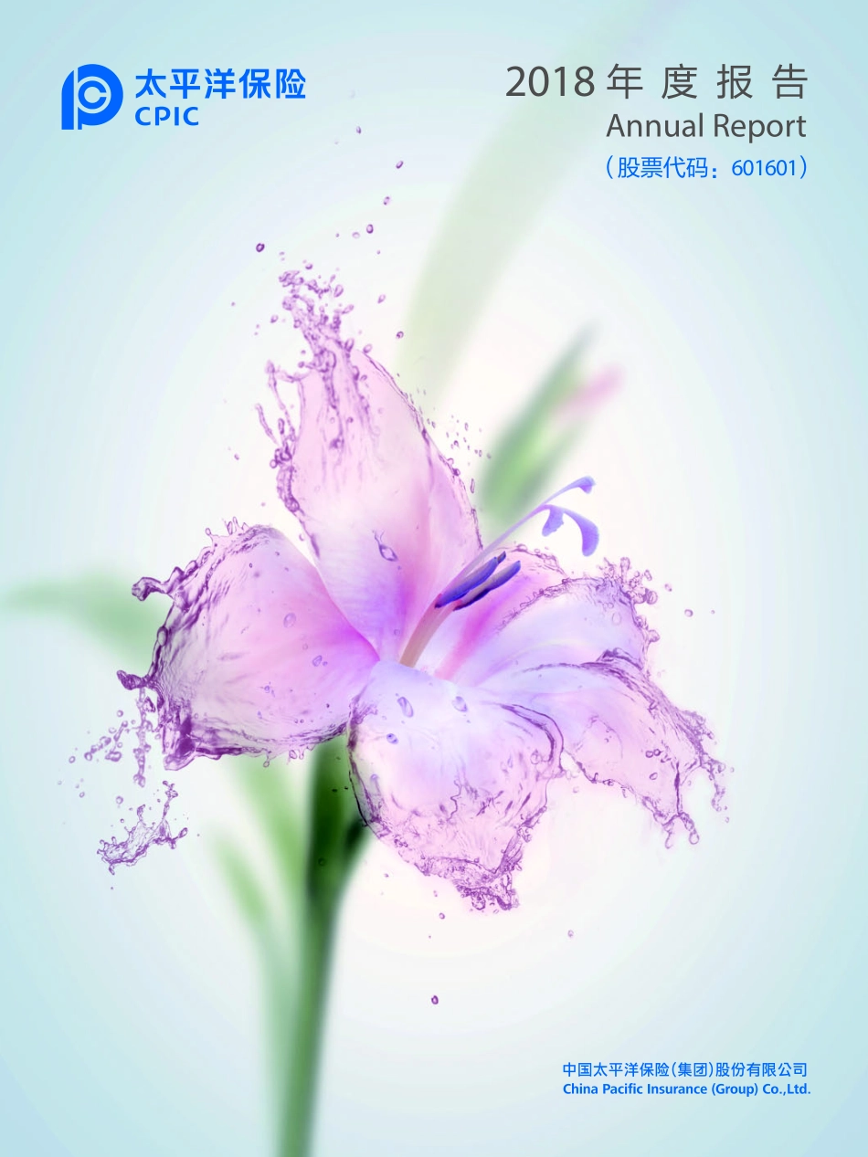601601_2018_中国太保_2018年年度报告_2019-03-24.pdf_第1页