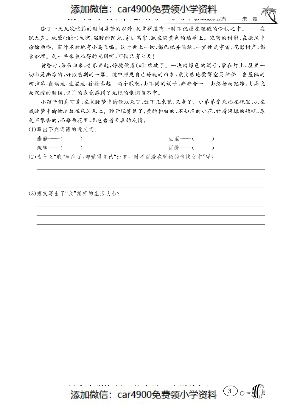 课课练·1 养花（网资源）（添加微信：car4900免费领小学资料）.pdf_第3页