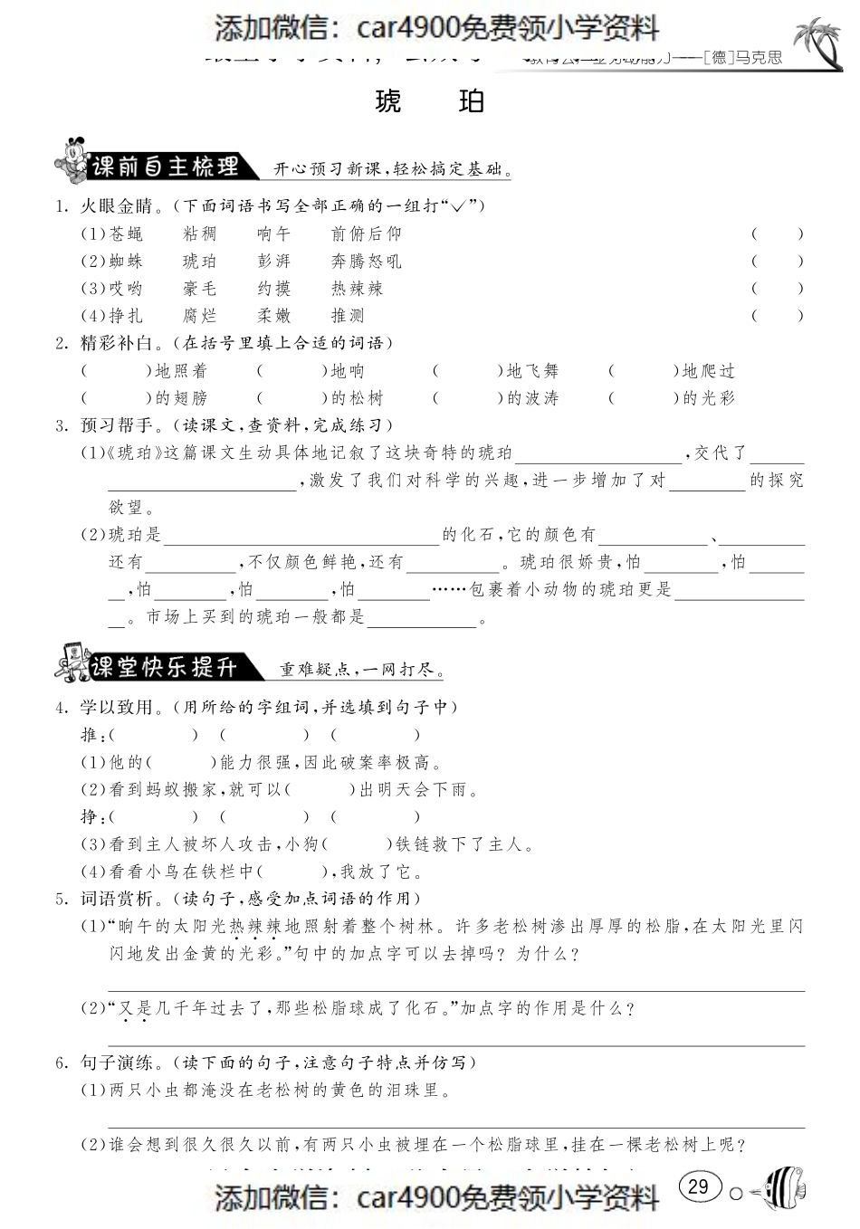 课课练·4 琥珀（网资源）（）.pdf_第1页
