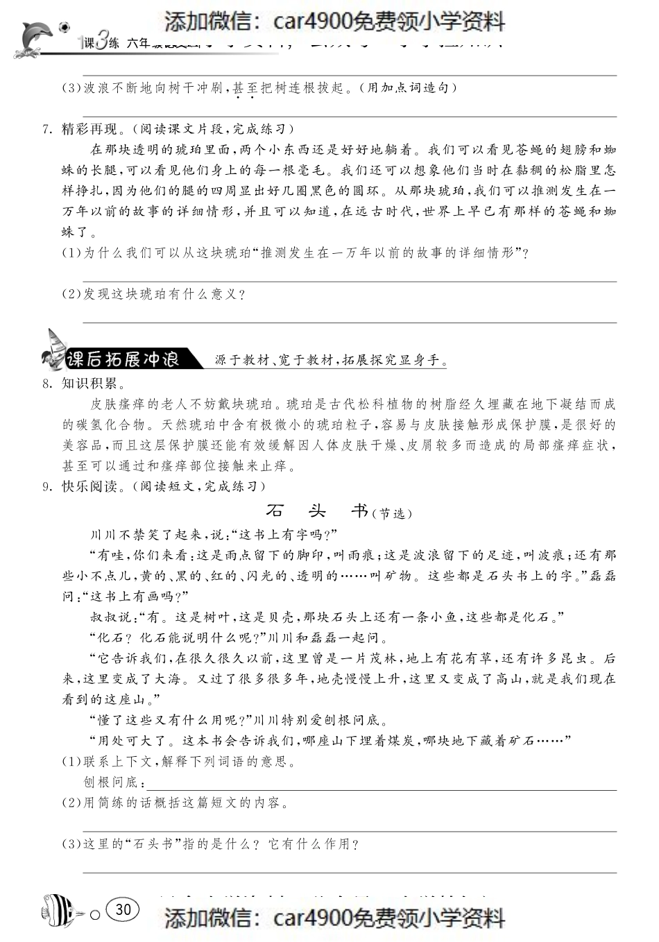 课课练·4 琥珀（网资源）（）.pdf_第2页