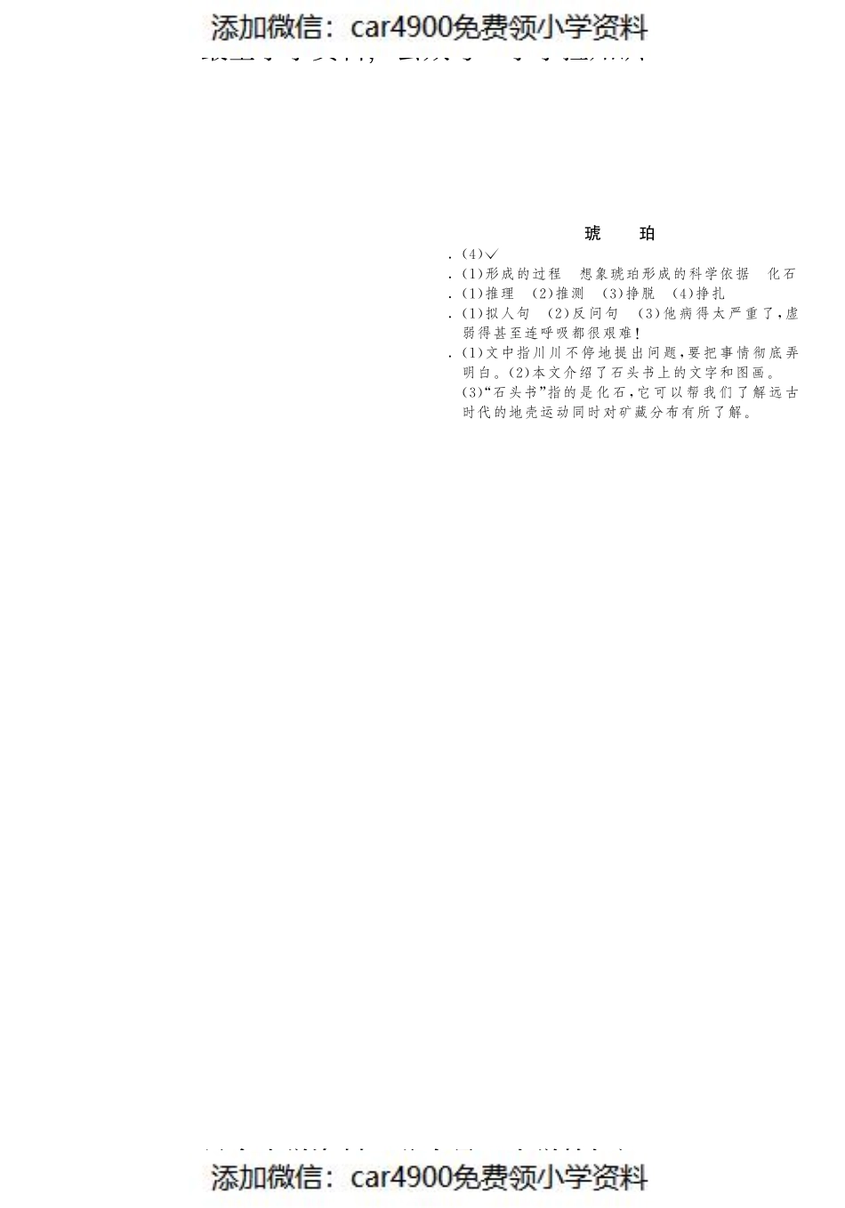 课课练·4 琥珀（网资源）（）.pdf_第3页