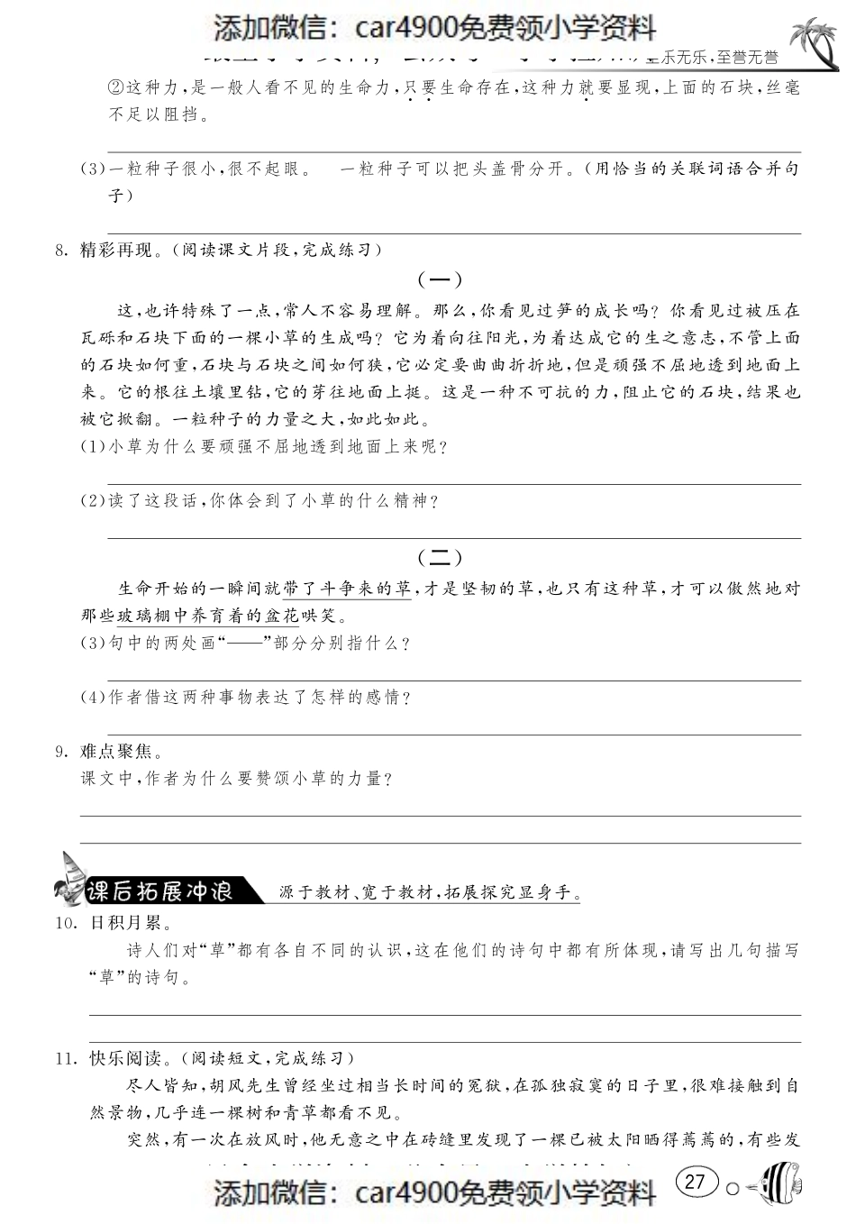 课课练·4 野草（网资源）（添加微信：car4900免费领小学资料）.pdf_第2页