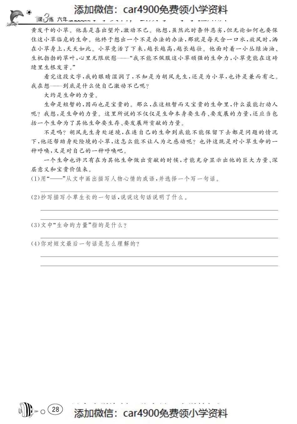 课课练·4 野草（网资源）（添加微信：car4900免费领小学资料）.pdf_第3页