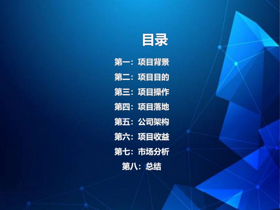 关于新能源充电项目创业计划白皮书5.0.pdf_第2页