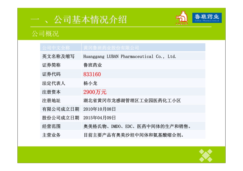鲁班药业商业计划书.pdf_第3页