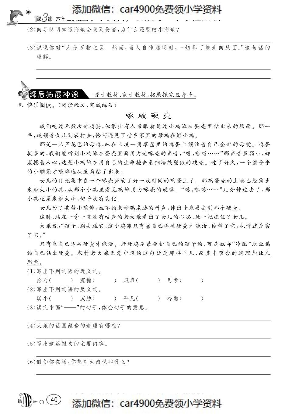 课课练·5 大自然的秘密（网资源）（）.pdf_第2页