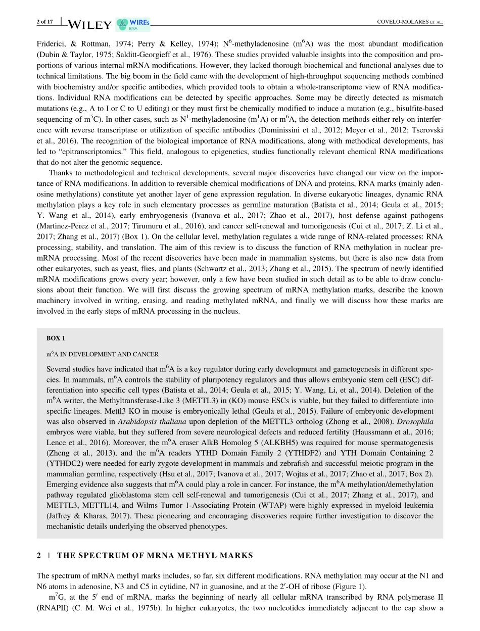 RNA methylation in nuclear pre-mRNA processing.pdf_第2页