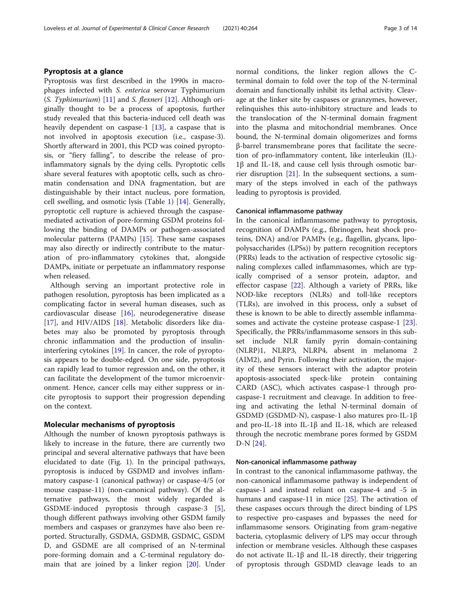 Pyroptosis at the forefront of anticancer__immunity.pdf_第3页