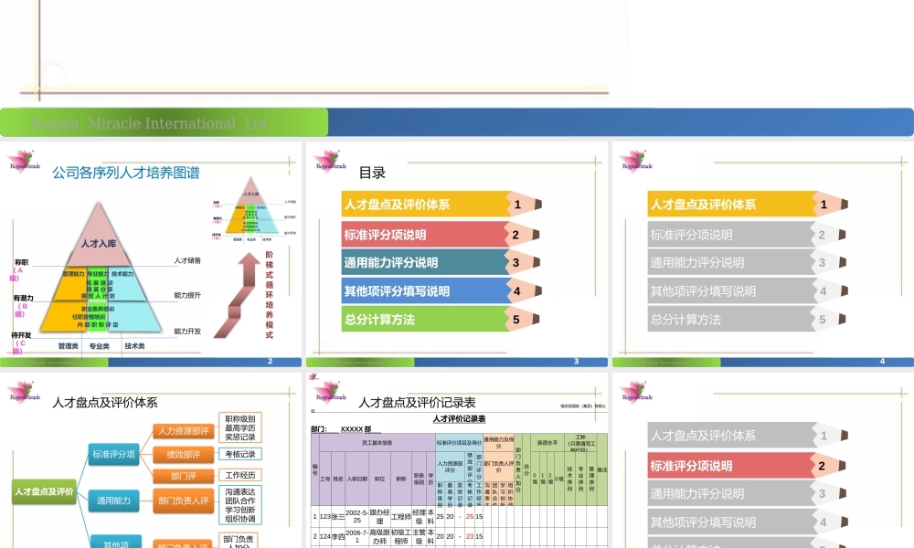 知识：公司人才盘点及评价说明.pptx