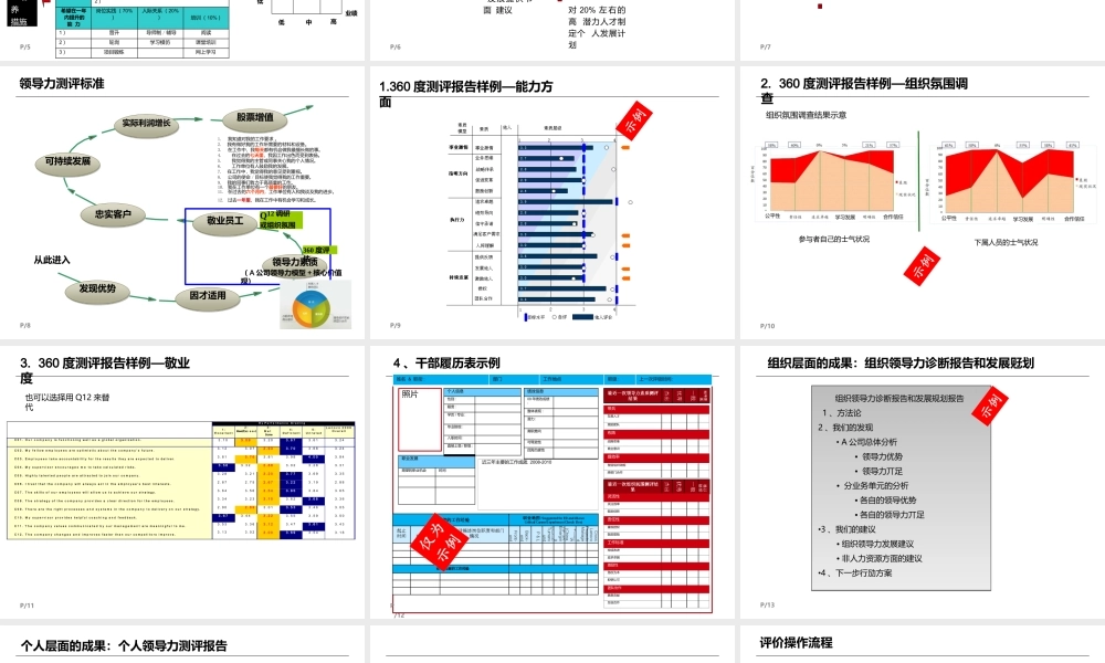 方案：关键岗位人才盘点与发展.pptx