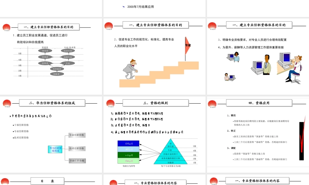 华为任职资格全套(HR版).ppt