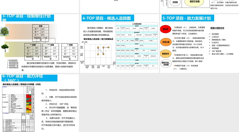 组织发展与继任计划方案 10页.pptx