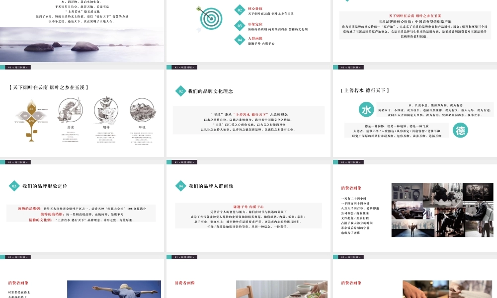 06.2020玉溪品牌升级策略方案.pptx