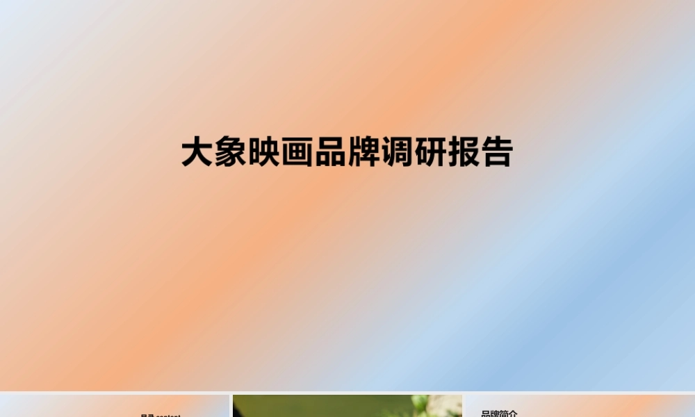 大象映画品牌调研报告 (2).pptx